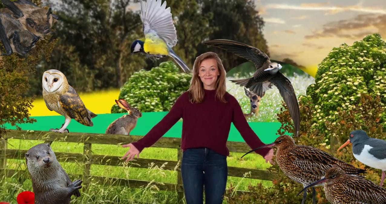 Natuur Dichterbijtjes - ontdek de Overijsselse soorten in jouw omgeving!